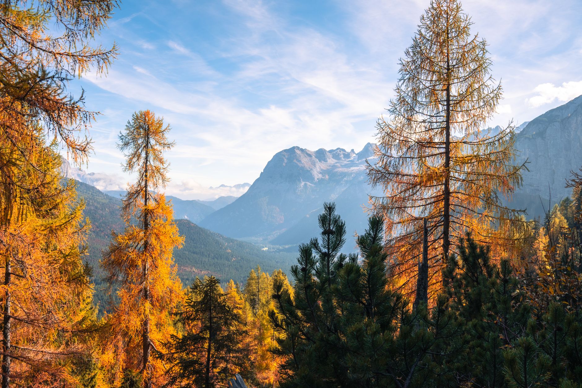 Dolomite peaks covered in autumn mist